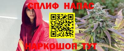 прущие грибы Нижний Тагил