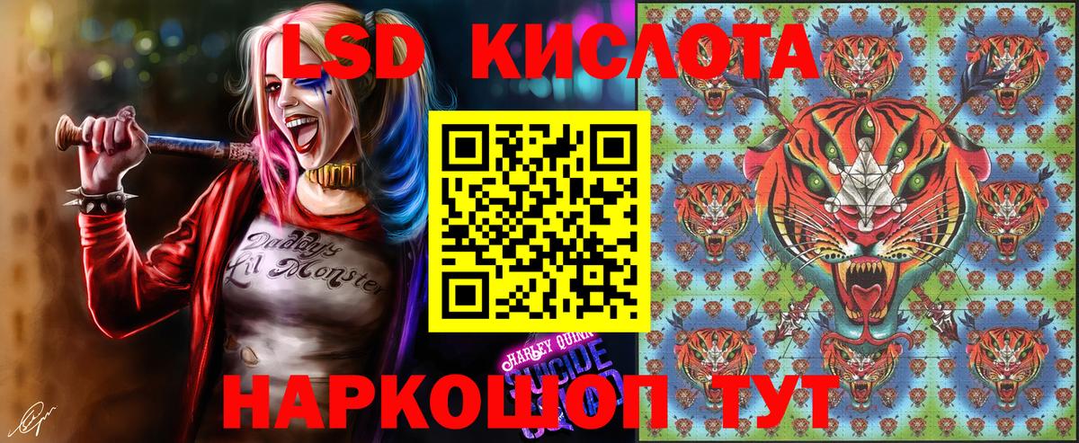 Наркотические марки 1500мкг  Вход с VPN  Егорьевск 
