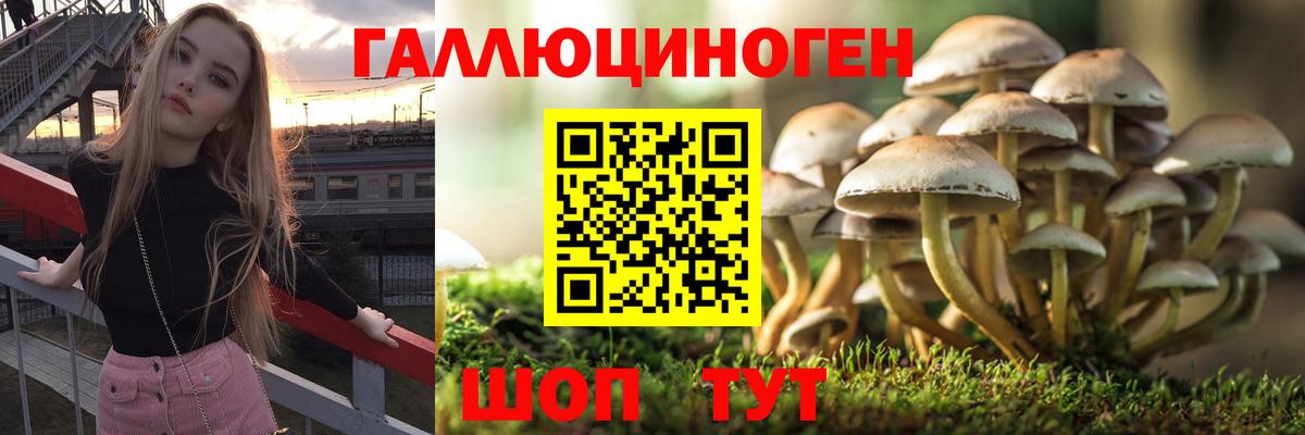 Галлюциногенные грибы GOLDEN TEACHER Егорьевск